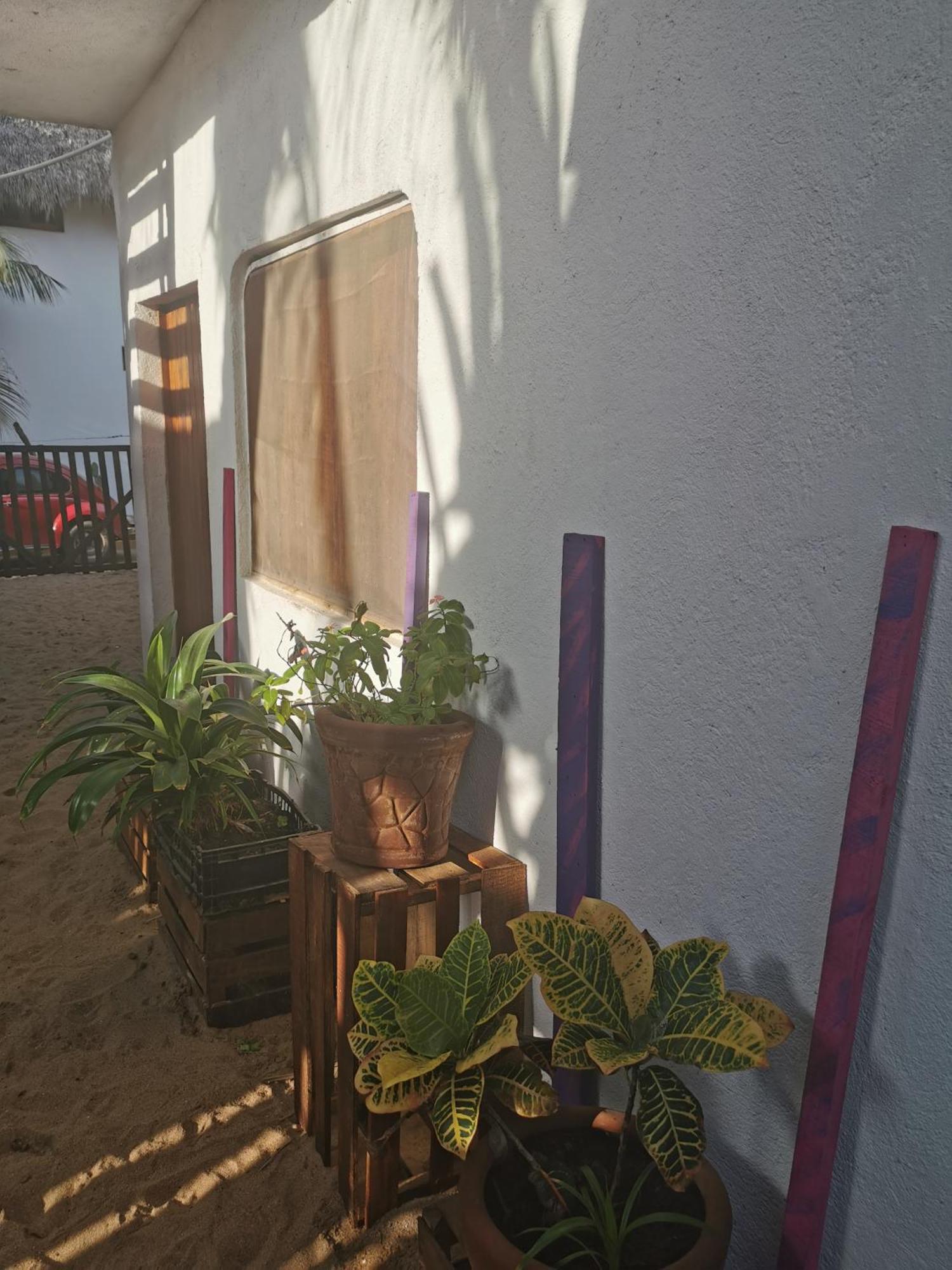 Hotel La Maxima & Lgbt Zipolite Pokoj fotografie