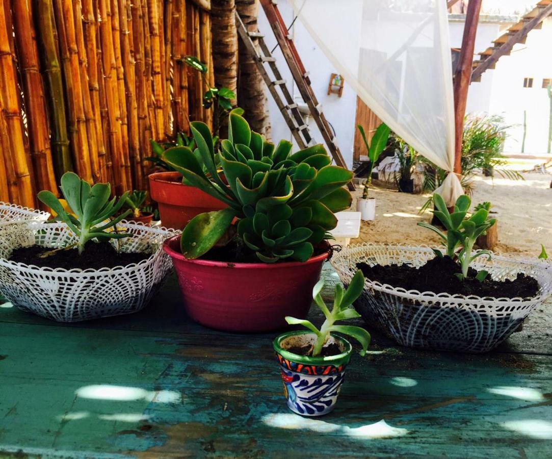 Hotel La Maxima & Lgbt Zipolite Exteriér fotografie